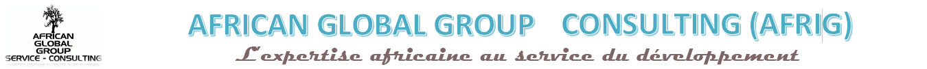 African Global Group Consulting  - AFRIG